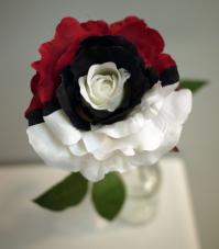 Химеры: редкие животные и насекомые