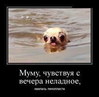 Нелепость в России  