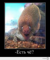 Животные, о которых знают немногие