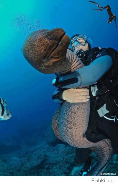 Все равно тебя не брошу...