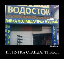 Маразмы месяца