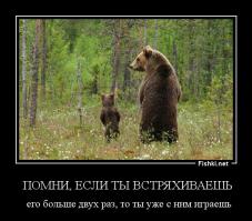 Фишкина солянка за 09.11.2014