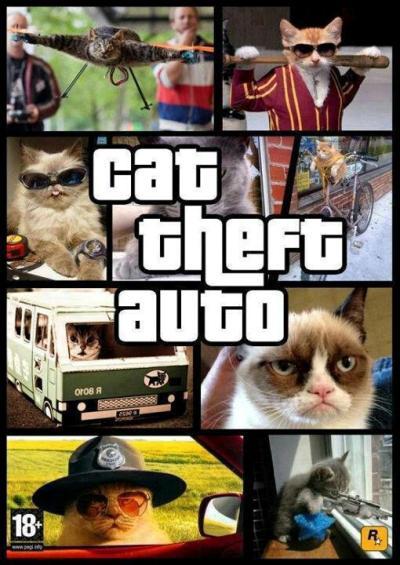 Подборка видео от 07.10.2013