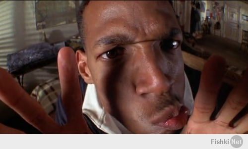 Подборка видео от 11.02.2014