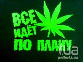 24 задачи из учебников, от которых волосы дыбом встают