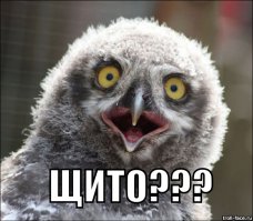 "Мойше-Яков Вольфович Винницкий более известный под именем Мишка Япончик <...> начал с еврейских погромов в Одессе"

ЭТО КАК???