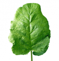  Прикольные держатели для туалетной бумаги