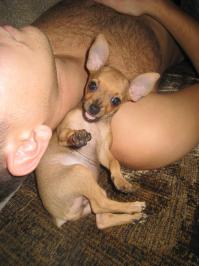 Моя верная и любящая собака. В детстве и теперь)