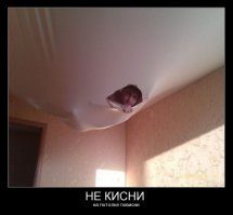Уже много лет занимаюсь натяжными потолками,веселый бизнес))