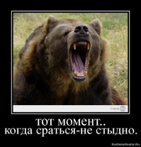 Смешные картинки с подписями