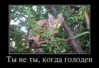 Во-во, только яблоко больше...