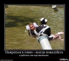 Подборка фоток на тему: сегодня в школах последний звонок 