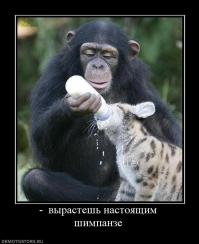 Чужих детей не бывает!!!