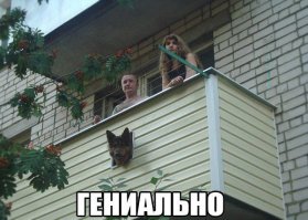 Изобретения для собак, без которых они непонятно как обходились раньше