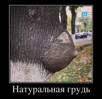 12 невинных вещей, которые на самом деле выглядят пошло