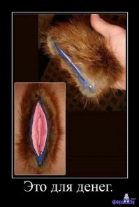 12 невинных вещей, которые на самом деле выглядят пошло