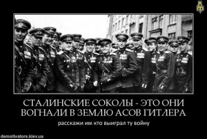 Красные соколы