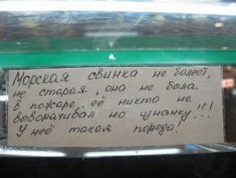 Душевный копирайтинг от народа