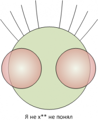 Эмоции можно выразить и без слов 