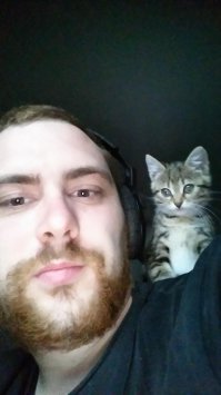 История Шелдона