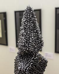 чиста пацанская елка из семок)