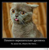 Животные, которые не были готовы к фотосессии