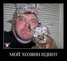 30 милых животных в шляпках