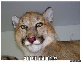 Давидыч проиграл BMW M5 