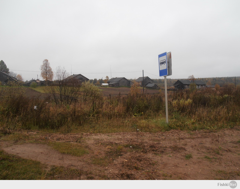 Погода вологодская васильево