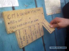 Самые добрые объявления