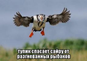 Со словами.