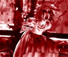 Подборка видео от 28.05.2014