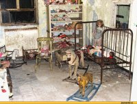 Спальни девушек из разных стран мира