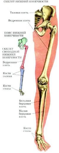 это вот так