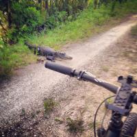 я почти так, за день, две правых педали сломал)))))