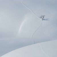 отлил и дальше пошел))