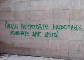 Cпасение волка