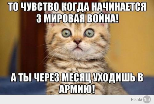 Зачем его только выпустили
