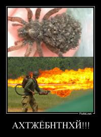 Пусть мама услышит …