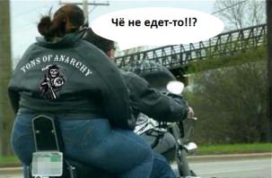 Фотоподборка за 25.06.2014