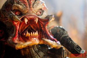 Смешные и странные выражения лиц