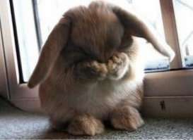 Вы всё врёте!!! Этого не может быть!!!