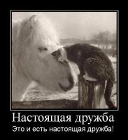 Межвидовой барьер дружбе не помеха