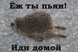 История врёт