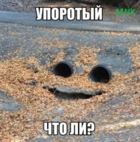 История врёт