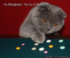 История врёт