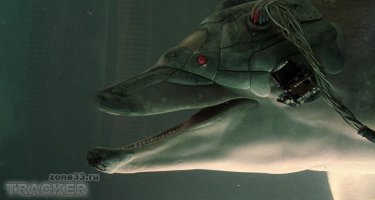 Нормально продвинутая. Сейчас операции на сердце часами делают, кровь в обход через аппарат циркулирует. Сращивать я так понимаю будут в районе груди. Спинной мозг до поясницы идёт, у парня судя по всему последние 10 - 15 см не работают. Вот и подсадят в нахлыст, авось прирастёт. 
Тут другой вопрос. Кем был донор, какой у него характер, психологические особенности. Они могут на личном плане не ужиться, и всё. Голова нашего пацана реально начнёт жить на столе ожидая снова новое тело. 
Тут другой вопрос, пацан программист. Мыслю что его в виртуальную реальность подключить надумали. Как знающего нашу специфику специалиста.