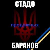 Солянка для Майдана. Часть 18