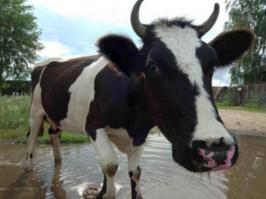 Очередное изобретение китайцев