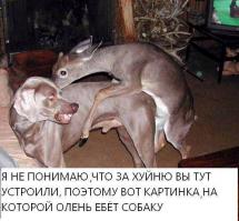 Что будет, если к службе в армии призвать блогера
